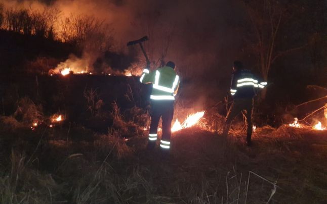 Incendiu în județul Dâmbovița! Peste 10 hectare de vegetație au ars. Sătenii au sărit în ajutorul pompierilor, flăcările au fost cu greu stinse