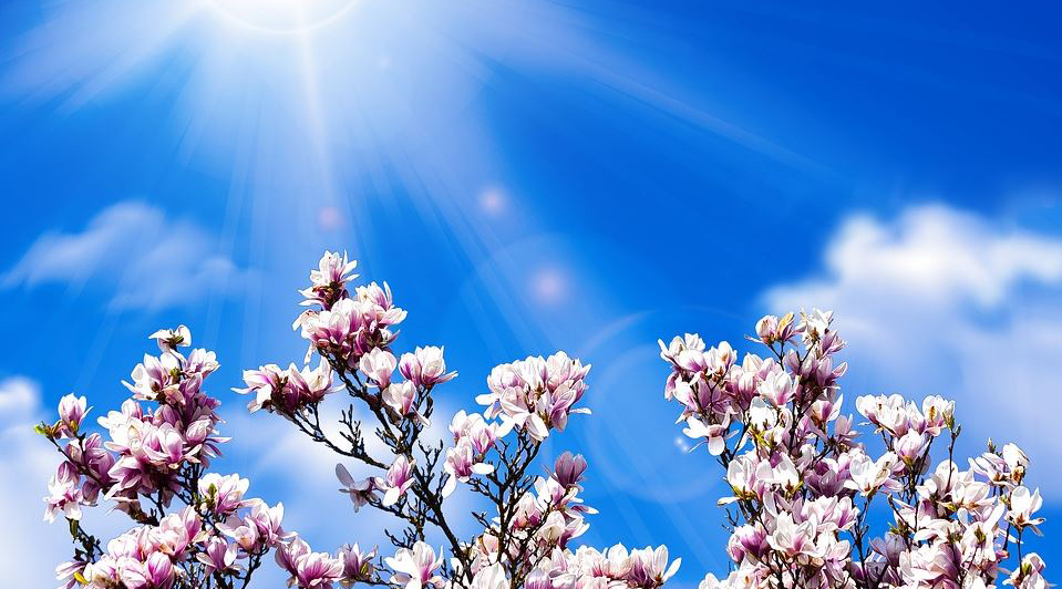 Când are loc echinocțiul de primăvară? Ce schimbări au loc după acest eveniment şi cum sunt afectate zodiile