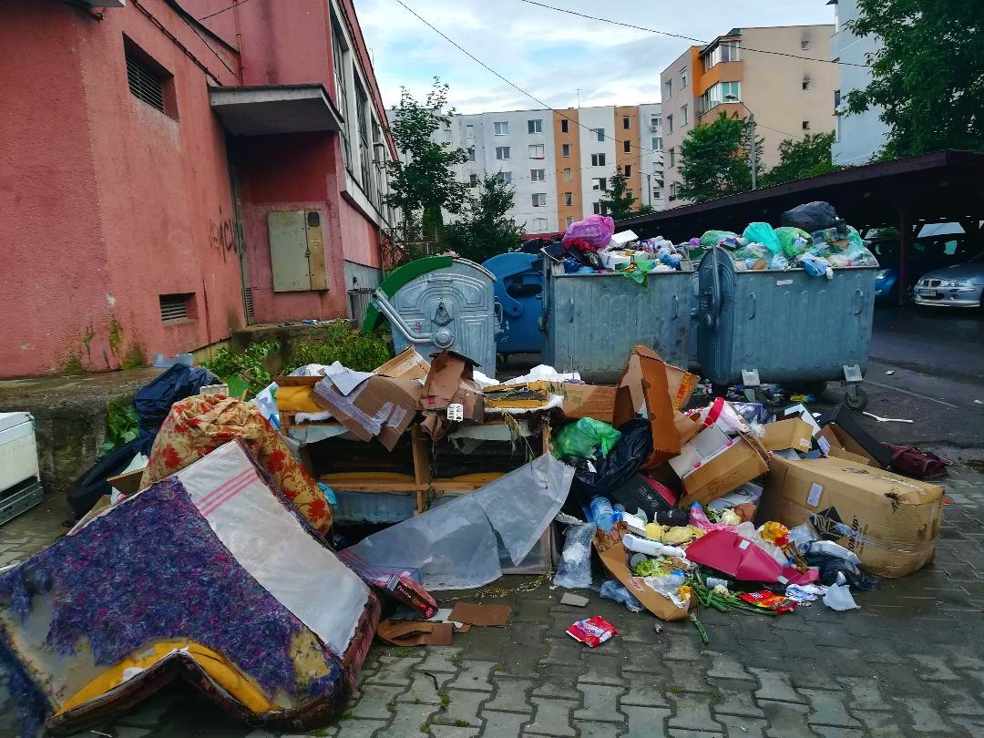 O româncă riscă să fie amendată pentru că a strâns gunoiul de pe stradă la Roma