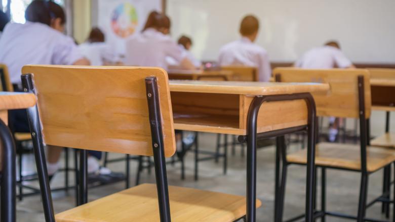 Țara în care elevii pot opta să repete anul școlar afectat de pandemie. România exclude aceasta posibilitate