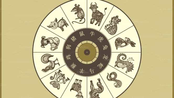 Horoscop chinezesc pentru 19 martie 2021. Este o zi guvernată de Lemn Yin și de Bivol