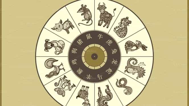 Imagine Stire Horoscop chinezesc pentru 19 martie 2021. Este o zi guvernată de Lemn Yin și de Bivol | 2review.ro