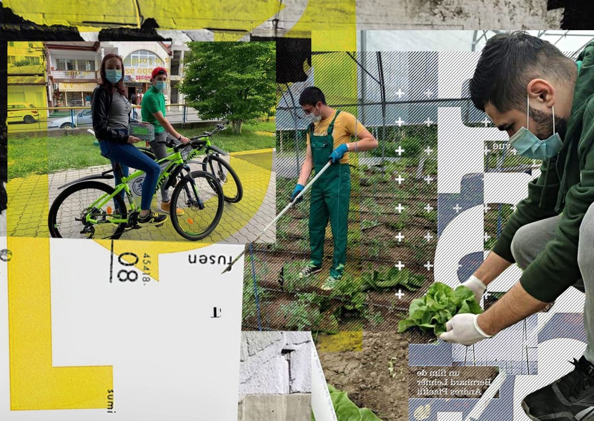 Imagine Stire Ei sunt studenții-bicicliști care livrează legume pe orice vreme | 2review.ro