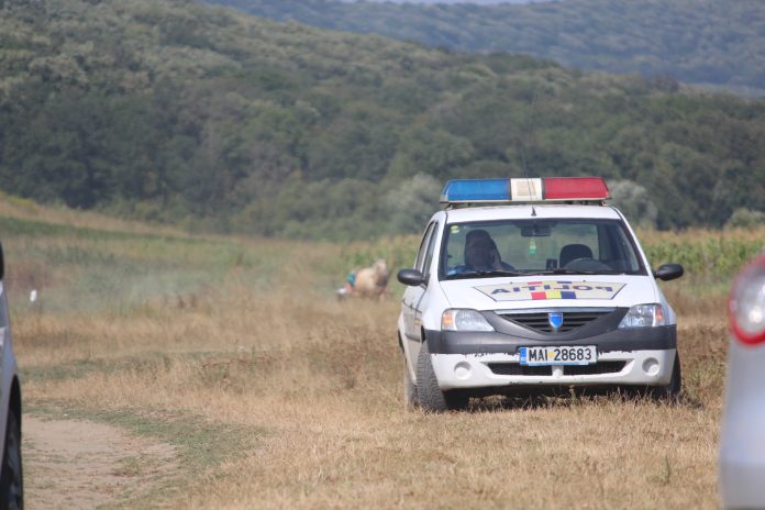 Caz șocant în Timișoara: un nou-născut a fost găsit fără suflare pe un camp