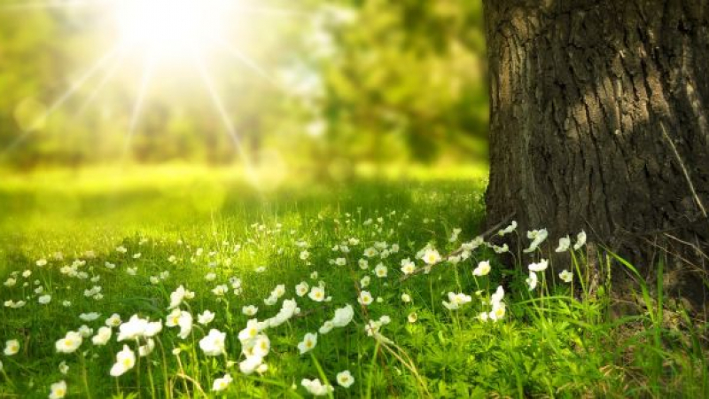 Imagine Stire La ce temperaturi să ne așteptăm în următoarele săptămâni? Meteorologii au făcut anunțul | 2review.ro