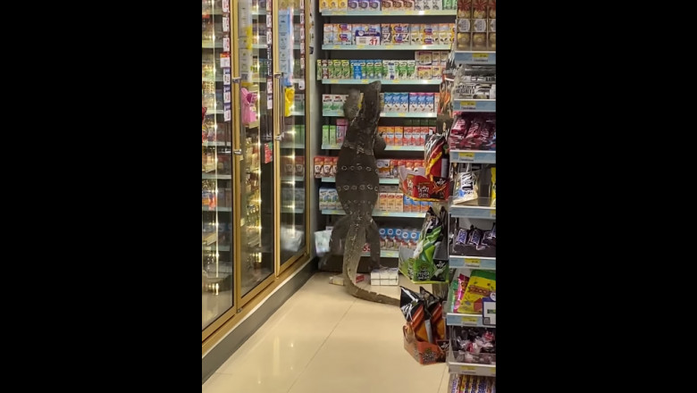 Imagine Stire O șopârlă uriașă a îngrozit clienții unui supermarket în Thailanda. Cum a apărut în centrul comercial | VIDEO | 2review.ro