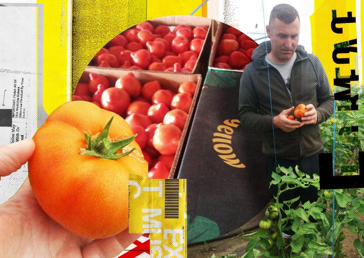 Imagine Stire Primele roșii românești se vând la preț de lux. Cu cât pleacă de la producători și cu cât ajung în piețe | 2review.ro