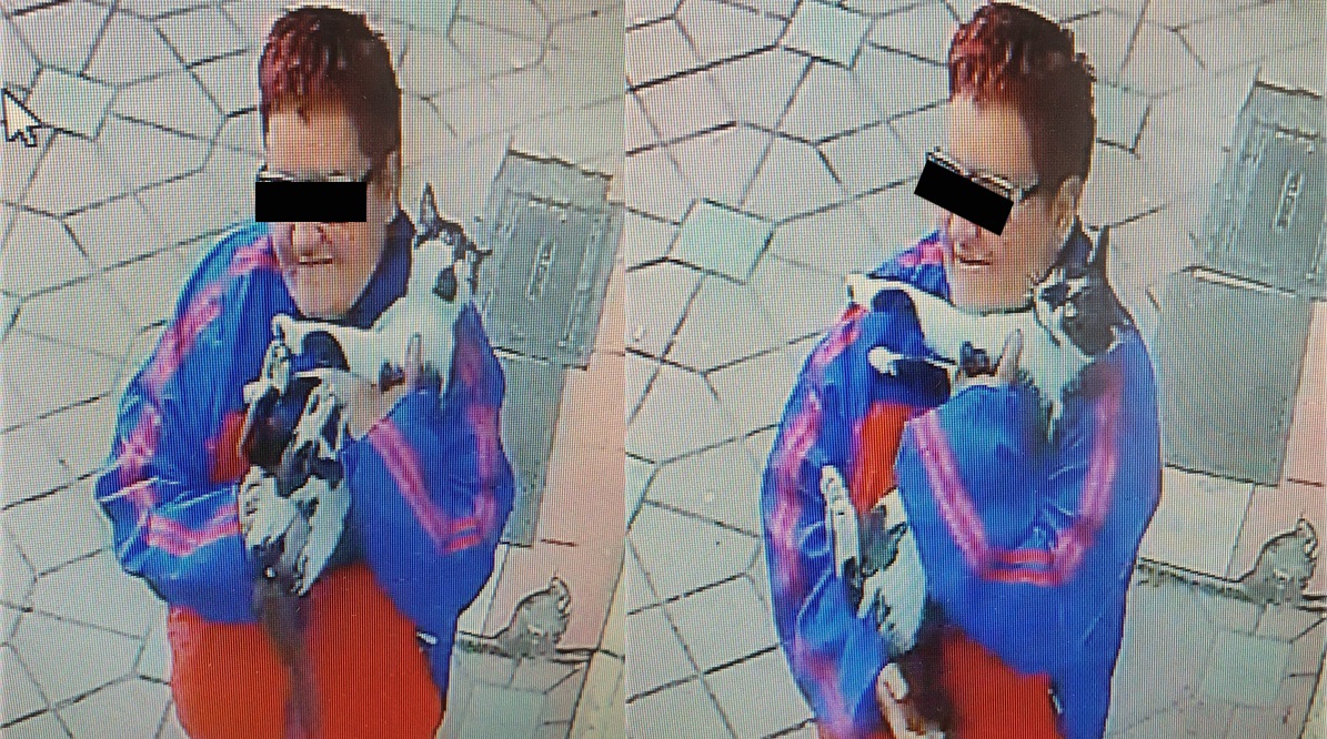 Imagine Stire Angajații unui cabinet veterinar din Iași au cerut ajutorul pe Facebook: “Această doamnă a luat un motan, nu știm ce intenții a avut” | 2review.ro