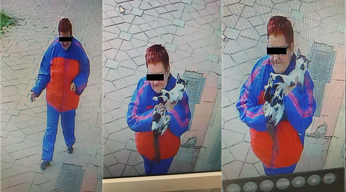 Această femeie este căutată în Iași, după ce a luat un motan are aparține unui cabinet medical din Iași © Facebook / Cabinet Medical Veterinar Dr. Drugu Tatiana