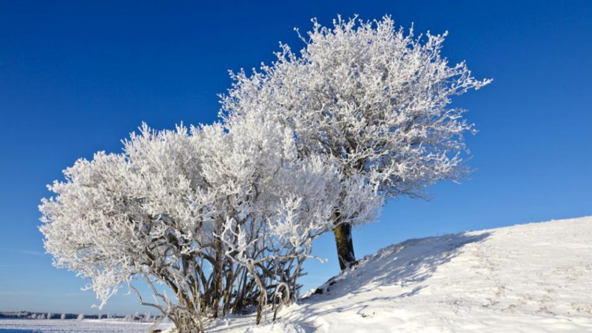 Vom avea ierni fără zăpadă în următorii ani?! Ce spun specialiștii despre schimbările bruște de temperatură din România