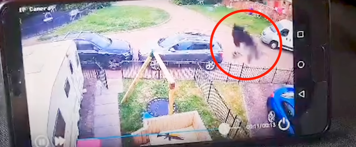S-a uitat pe camerele de supraveghere și a avut parte de un șoc! După ce a văzut imaginile a chemat imediat preotul să îi sfințească locuința - Vimarsana News