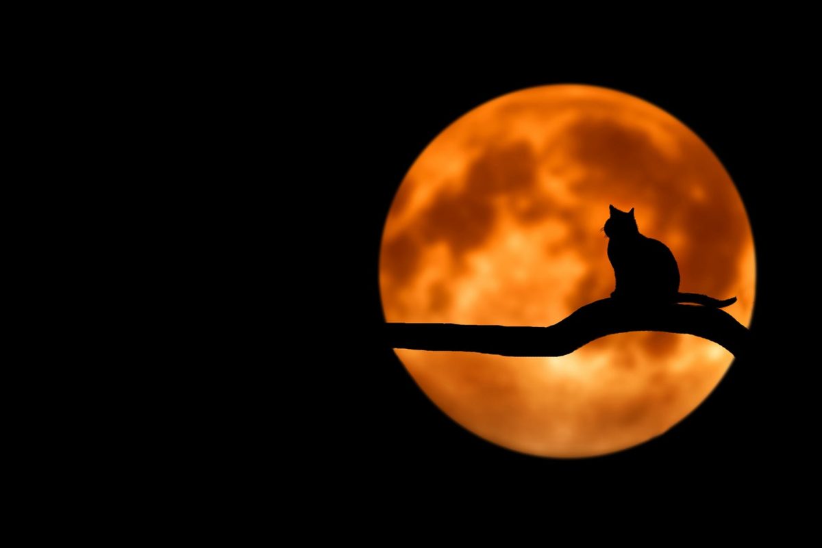 Imagine Stire Horoscop zilnic 24 iulie 2021. Lună Plină în zodia Vărsător | 2review.ro