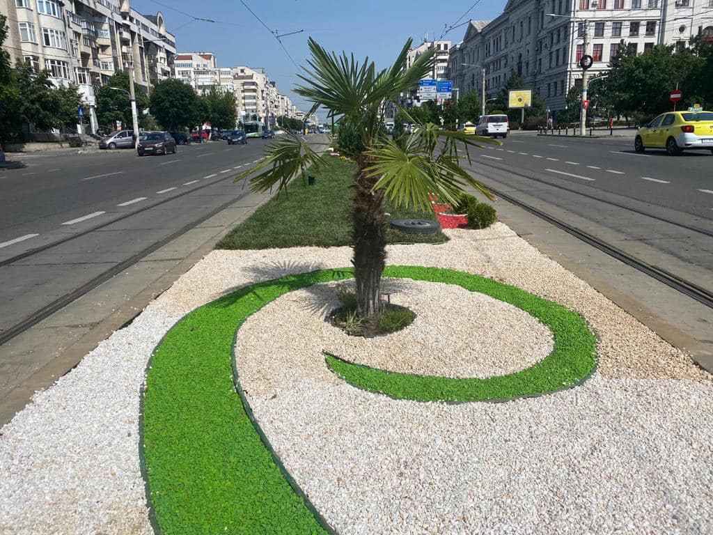 În centrul Craiovei au răsărit… palmierii. Cum au reacționat oltenii
