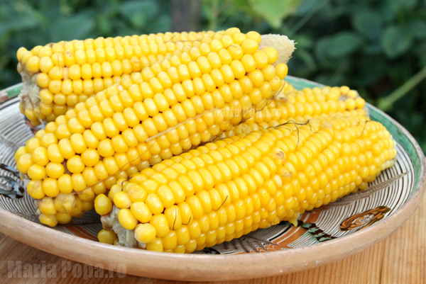 Imagine Stire Plajele, invadate de vânzători ambulanți care nu respectă nicio regulă sanitară! ”Arde, arde, frige tare, porumbelul de la mare” | 2review.ro