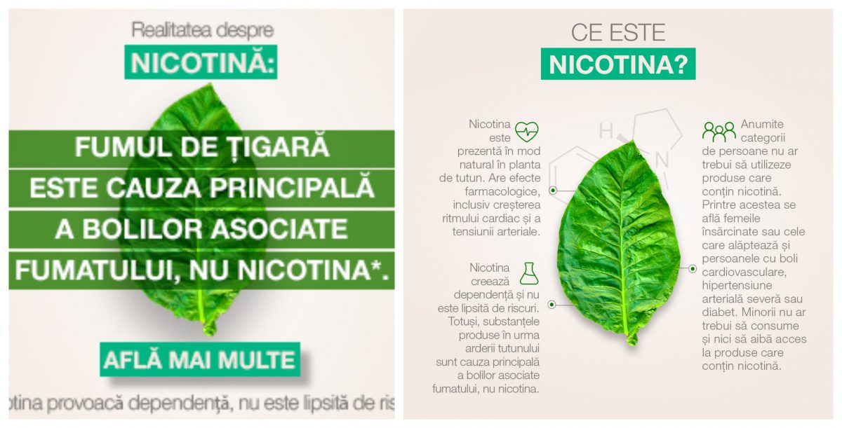 Imagine Stire Nicotina: „mituri” și realitate în legătură cu fumatul | 2review.ro