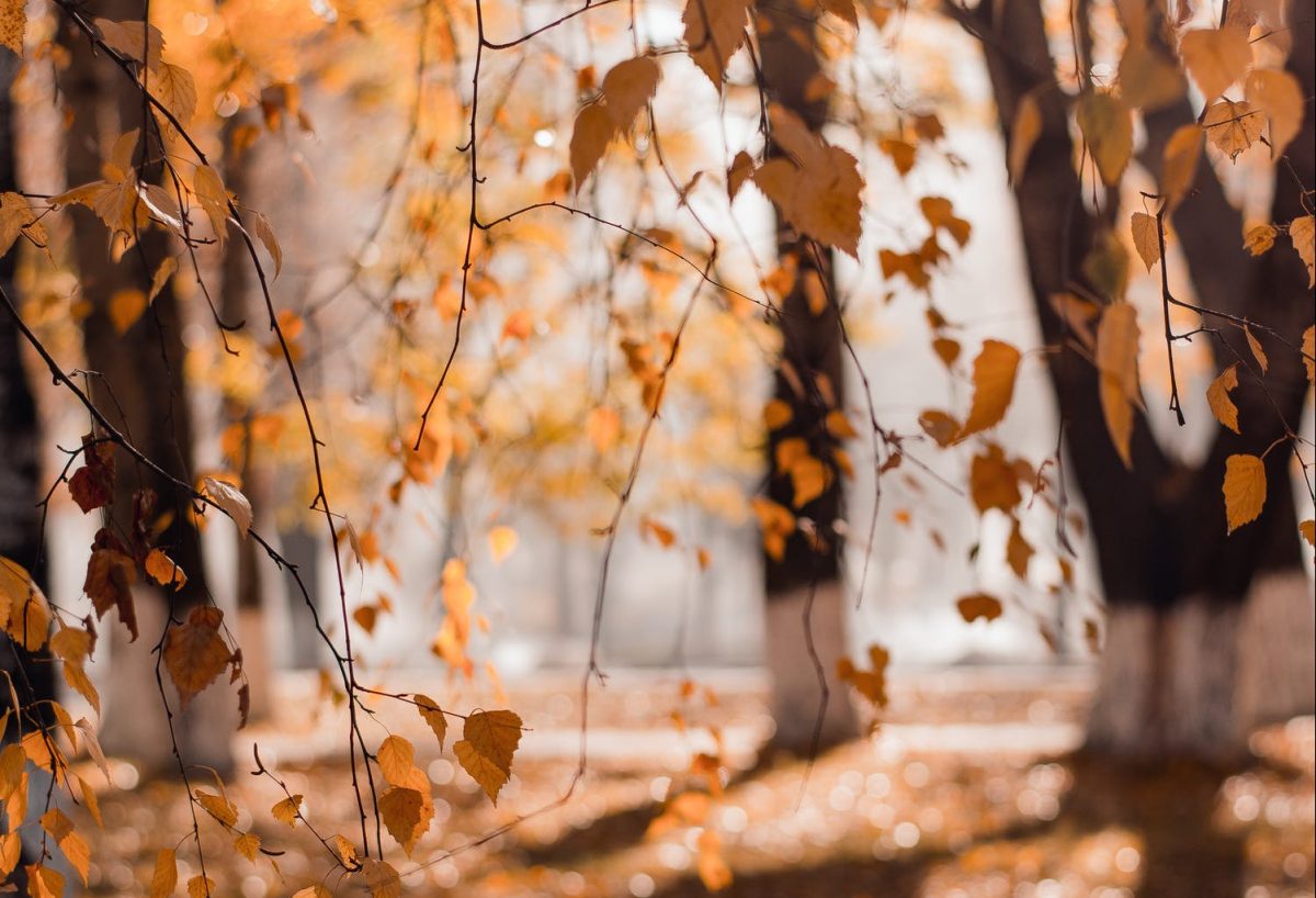 Imagine Stire Vara a ajuns la final. Prognoza meteo pe luna septembrie | 2review.ro