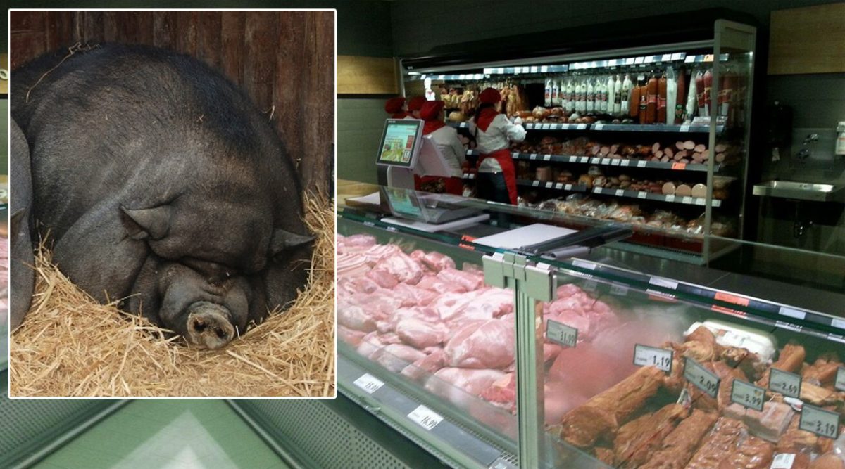 Ultima fiță de Crăciun în România! Câți lei costă un kilogram de carne de porc vietnamez