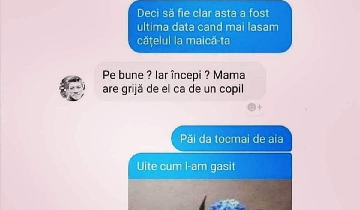 Imagine Stire BANC | „Să fie clar, nu mai lăsăm cățelul la maică-ta. Uite cum l-am găsit!” | 2review.ro