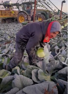 Român plecat la muncă în Anglia, mesaj dur pentru prieteni: “Aici lucrez prin gheață, frig, zăpadă… Stați cu mine aici ca să vă dau bere, de Crăciun, când mă întorc acasă?!”