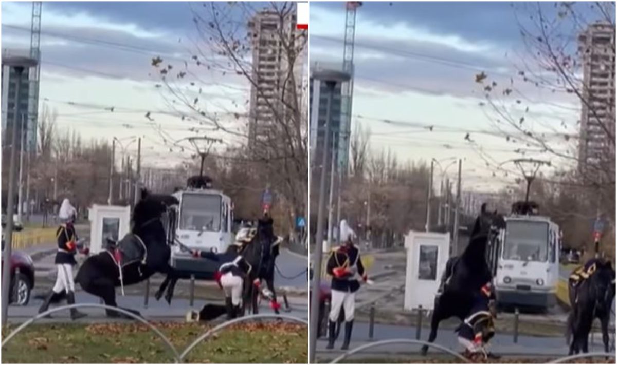 Jandarmul care a căzut de pe cal, la parada de 1 Decembrie, a consumat băuturi alcoolice. Este cercetat de Parchetul Militar
