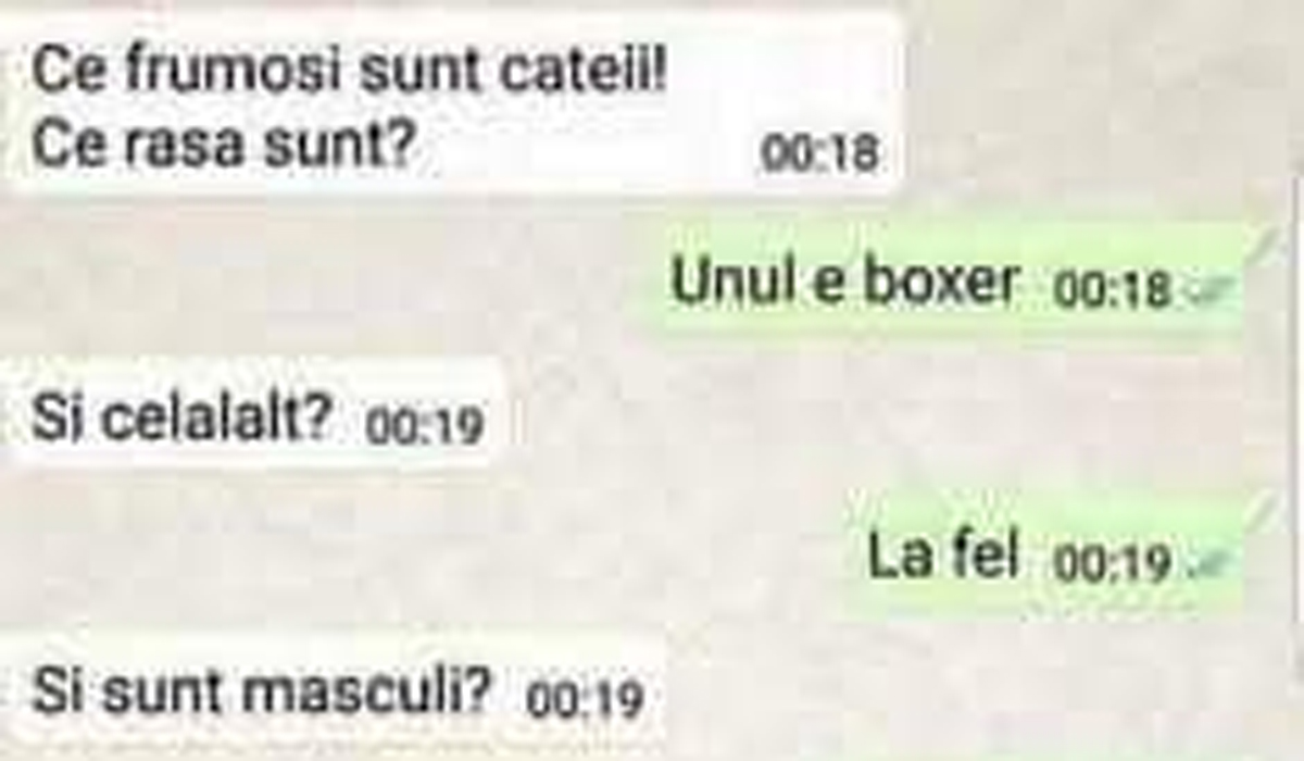 Imagine Stire BANCUL ZILEI | „Ce frumoși sunt cățeii. Ce rasă sunt?” | 2review.ro