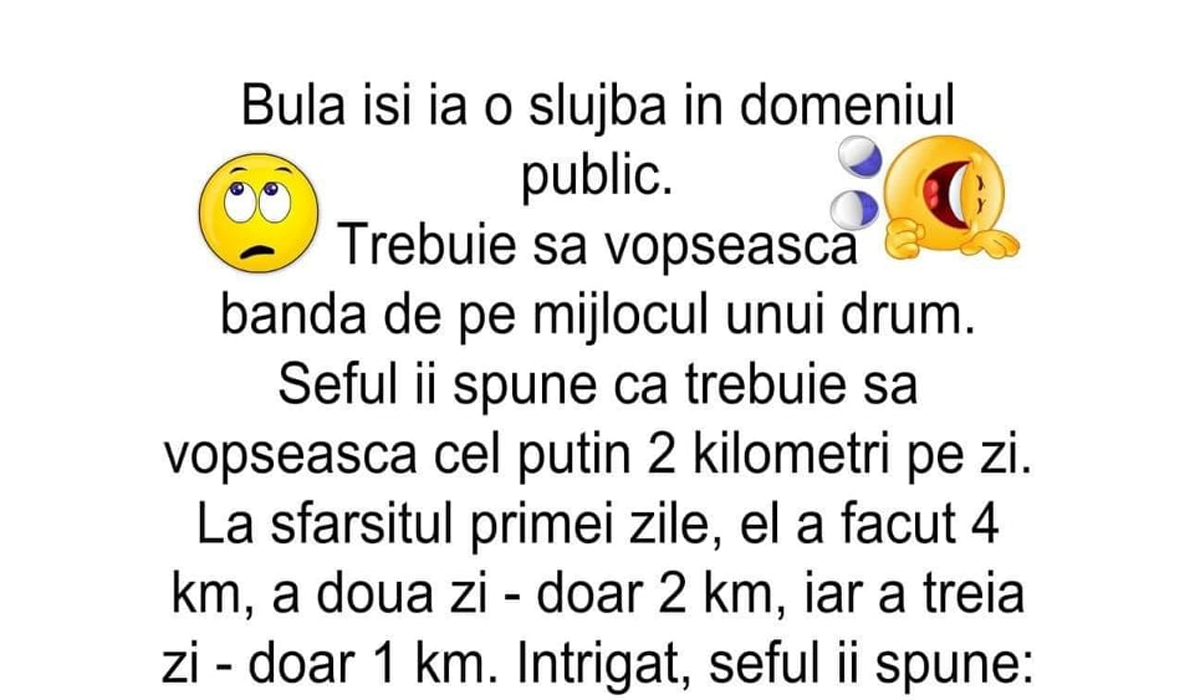 Imagine Stire BANC | Bulă își ia o slujbă în domeniul public. Trebuie să vopsească banda de pe mijlocul unui drum | 2review.ro