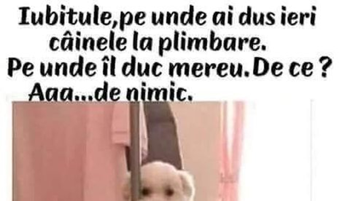 Imagine Stire BANCUL ZILEI | „Iubitule, unde ai dus câinele la plimbare?” | 2review.ro