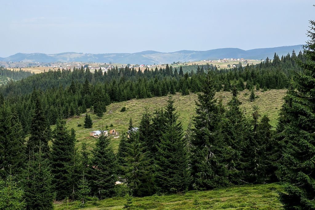 Raiul neştiut din Munţii Apuseni. Cum să ajungi pe platoul aproape secret, cu o privelişte spectaculoasă