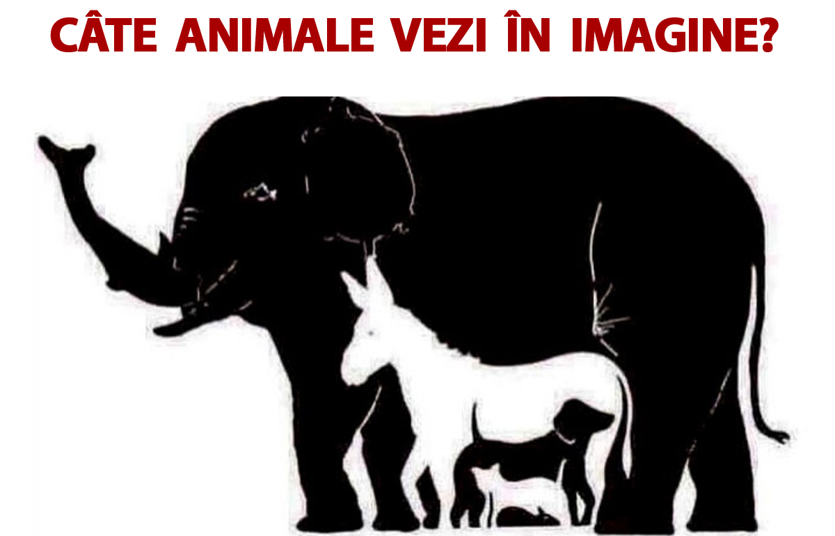 Testul IQ care îți spune cât de deștept ești: Câte animale vezi în imagine?!