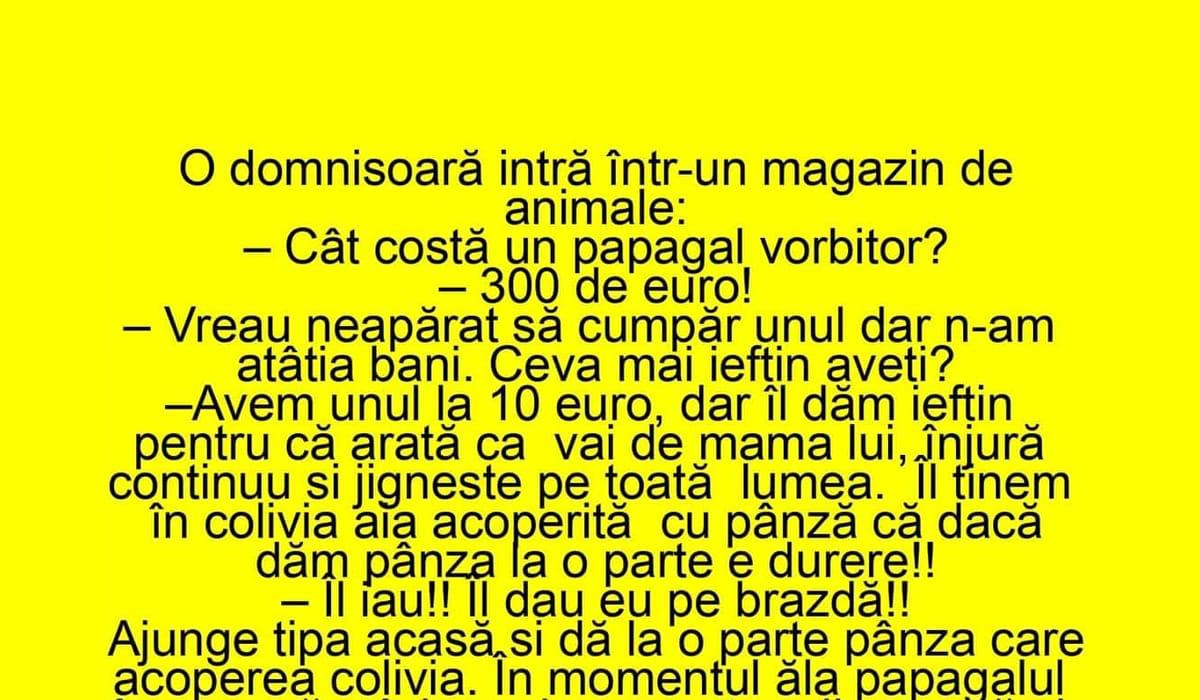 Imagine Stire BANCUL ZILEI | „Cât costă un papagal vorbitor?” „300 de euro” | 2review.ro