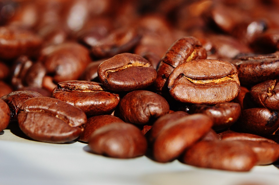 De ce e bine să pui boabe de cafea în frigiderul tău? Trucul bizar care are efecte nebănuite