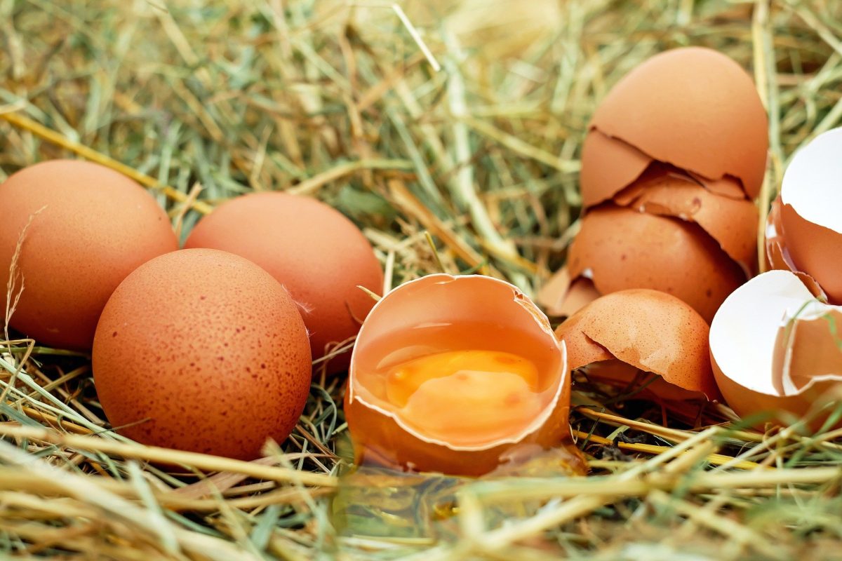 Atenție! Oua contaminate cu Salmonella în mai multe județe din România