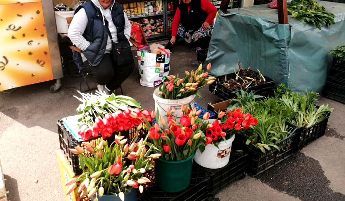 Imagine Stire Nu e o glumă! Câți lei are salariu lunar o florăreasă în București și în Cluj-Napoca | 2review.ro