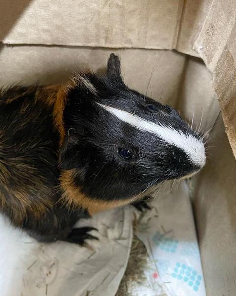 Imagine Stire Ce bilet a primit o româncă de la o fetiță refugiată. Nu s-a putut opri din plâns | 2review.ro