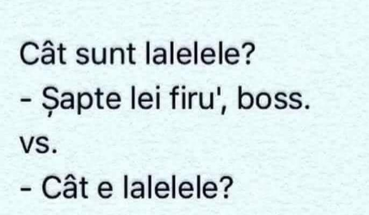 Imagine Stire BANCUL ZILEI | „Cât sunt lalelele?” „7 lei firu’, boss!” | 2review.ro