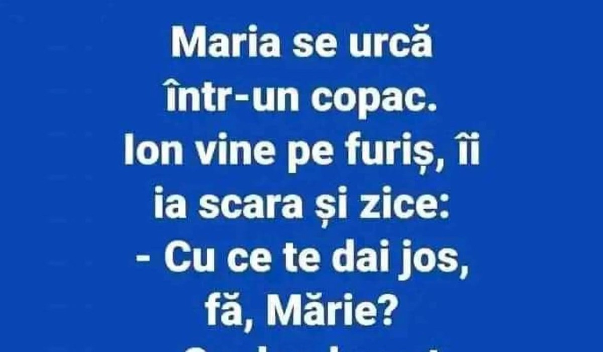 BANC | Maria se urcă într-un copac. Ion vine pe furiș și ia scara: „Cu ce te dai jos?”