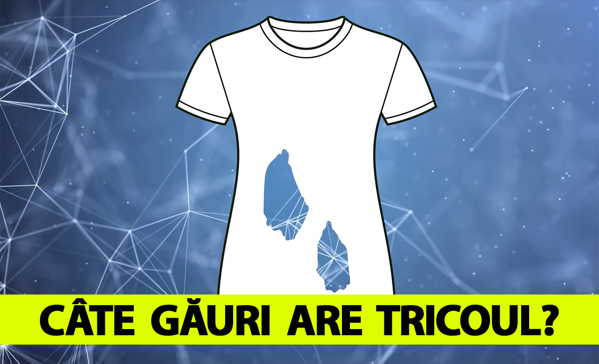 Test IQ doar pentru genii | Câte găuri are tricoul din imagine, de fapt?!