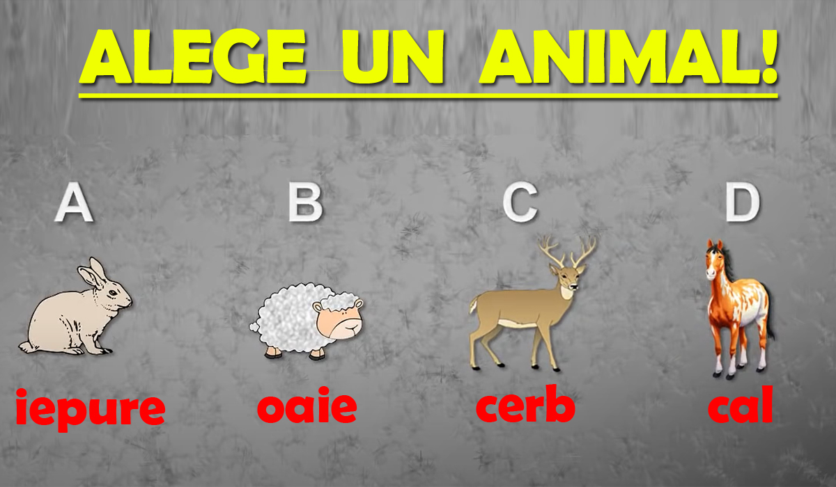 Test IQ psihologic | Apocalipsa vine și nu poți salva decât un animal. Pe care îl alegi?