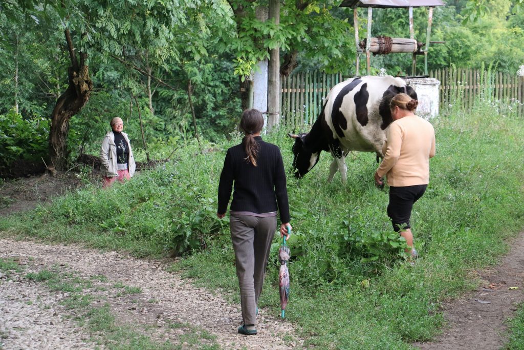 Un bărbat din județul Iași este acuzat că a vrut să-și violeze soția. Ce i-a făcut bărbatul când aceasta l-a refuzat