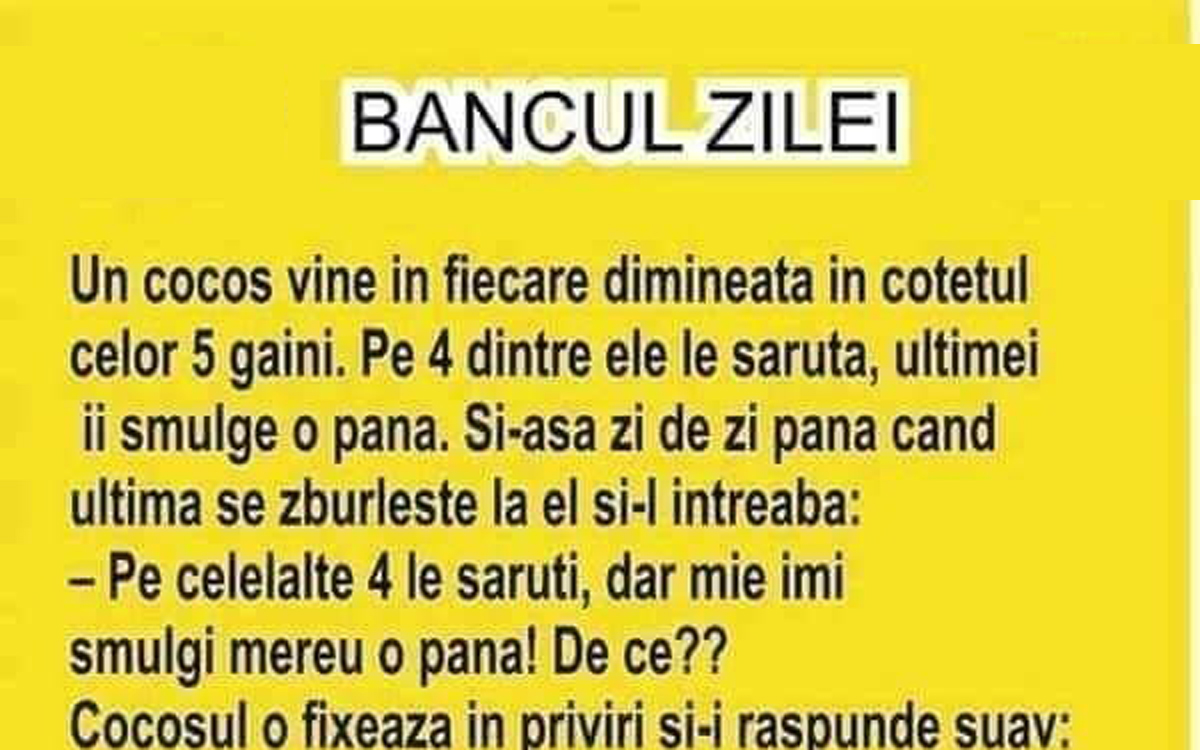Imagine Stire BANC | Cocoșul vine în fiecare dimineață în cotețul celor 5 găini. Pe primele 4 le sărută, ultimei îi smulge o pană | 2review.ro