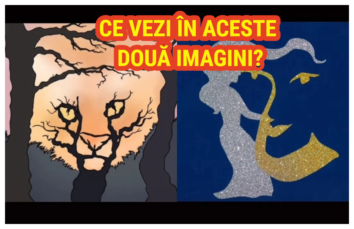 Iluzia optică înnebunitoare care îţi spune dacă eşti deschis la minte sau nu. Ce ţi-a apărut prima dată în minte când te-ai uitat la această poză?