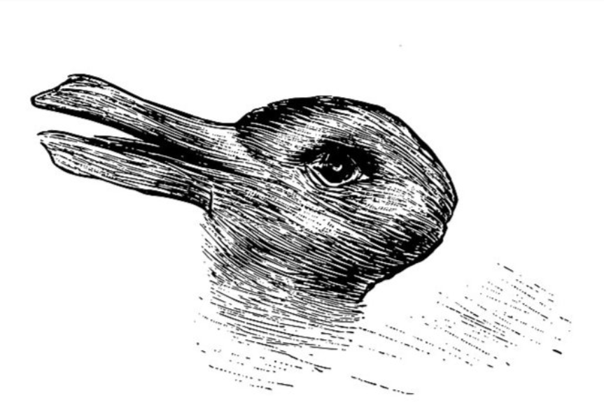 Această iluzie optică spune totul despre tine, în funcţie de cum o descifrezi. Ce animal vezi, de fapt, în imagine?