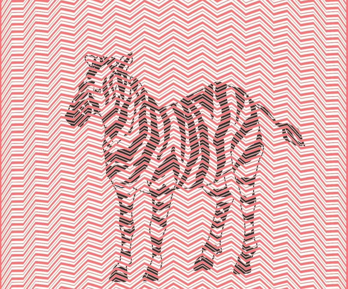 Răspunsul testului optic