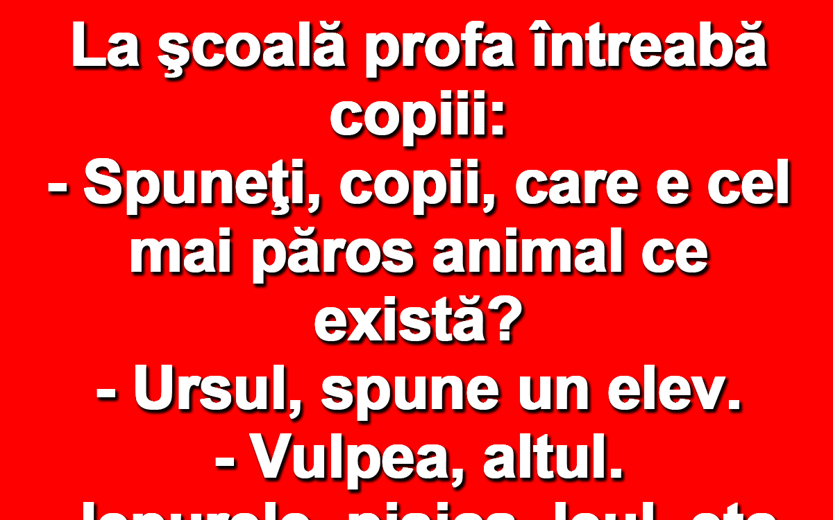 Imagine Stire BANCUL ZILEI | Bulă, la școală: „Care e cel mai păros animal?” | 2review.ro