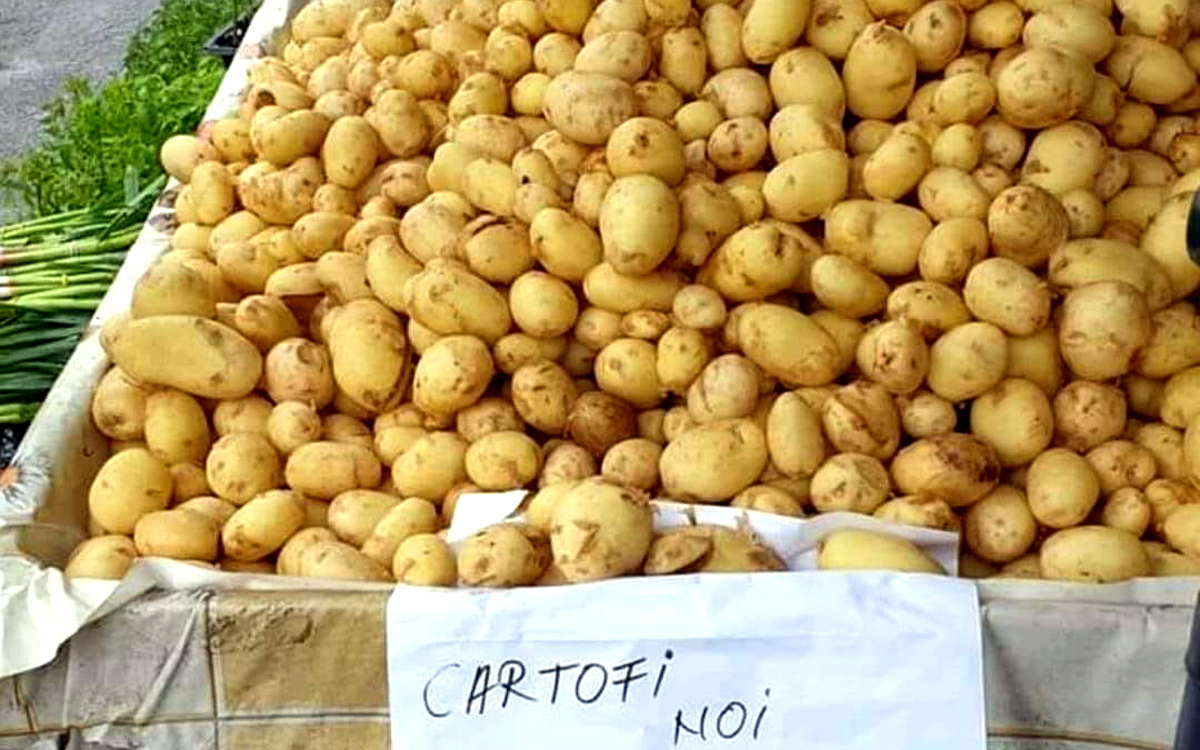 Ireal câți lei costă un singur kilogram de cartofi românești noi în „piața bogătașilor” din Dorobanți