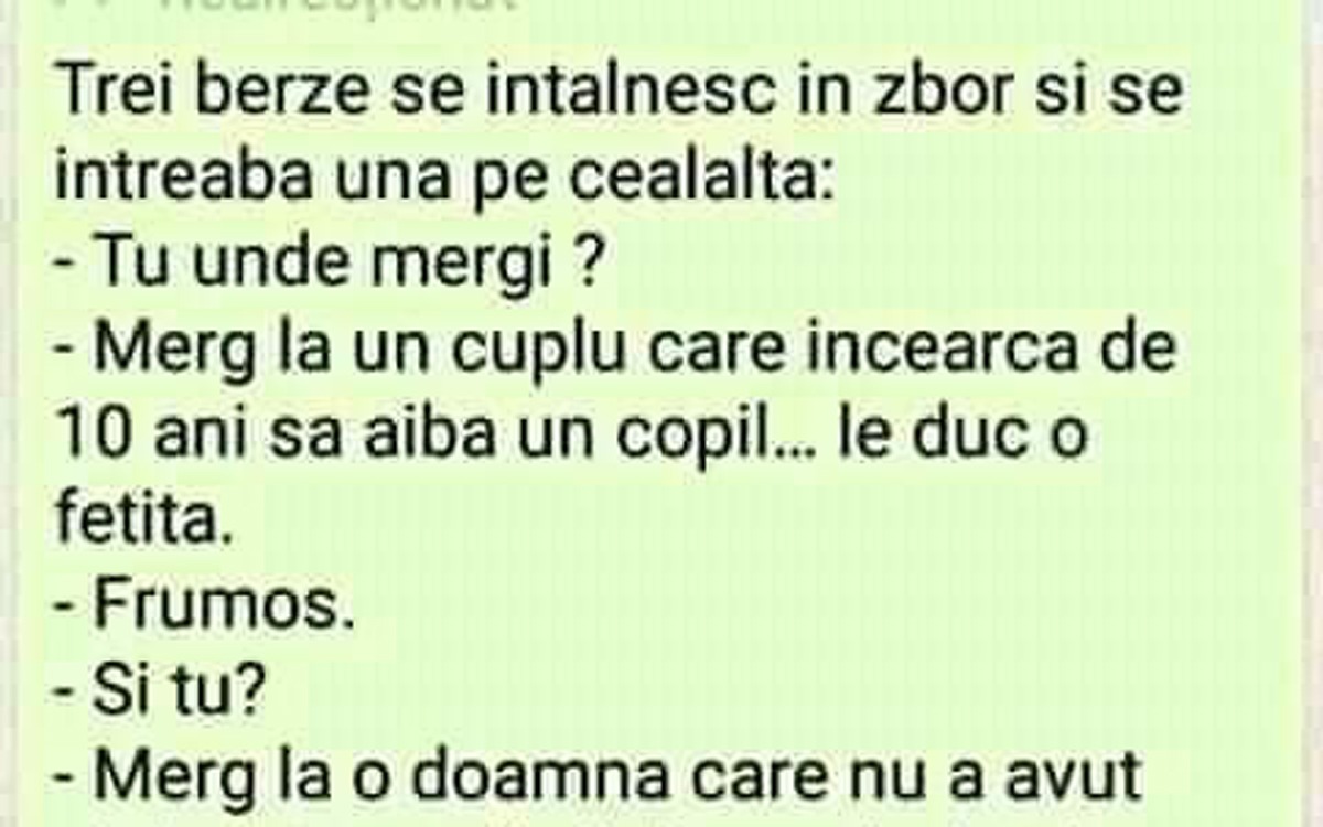 Imagine Stire BANC| 3 berze se întâlnesc în zbor și se întreabă una pe cealaltă: „Tu unde mergi?” | 2review.ro