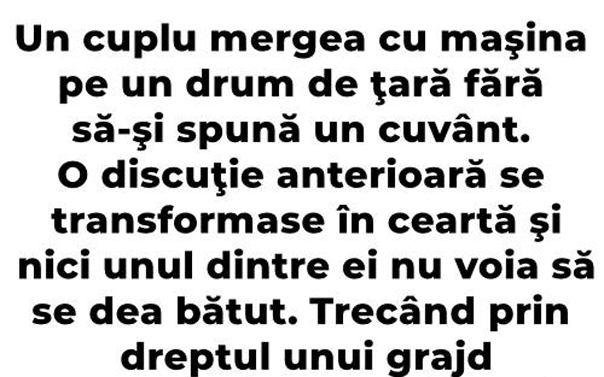 Imagine Stire Cel mai tare banc | De ce nu e bine să te cerți cu nevasta | 2review.ro