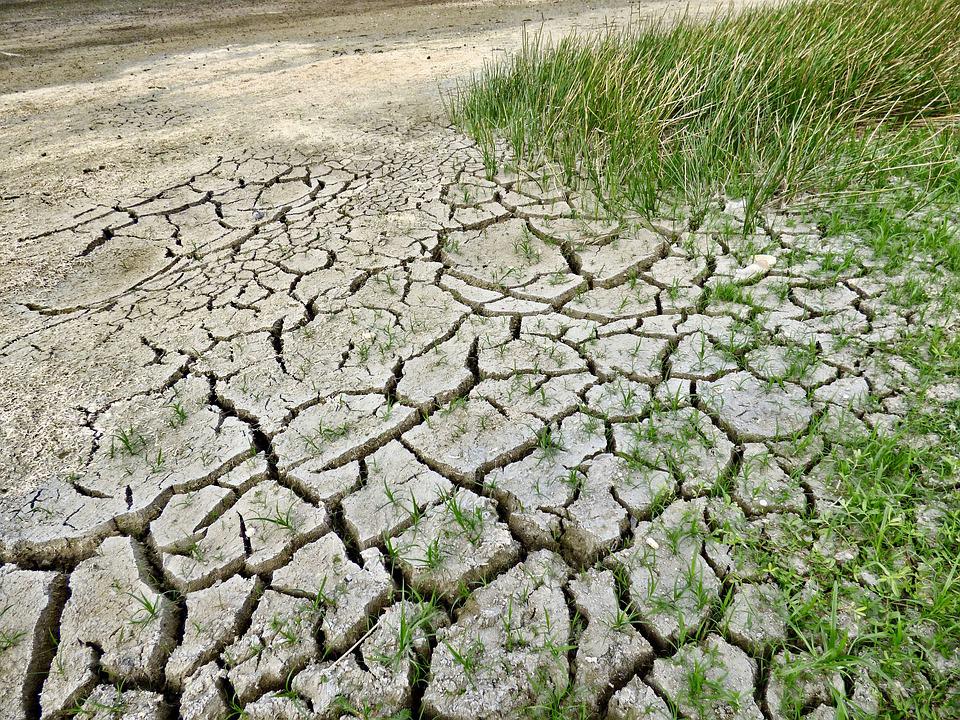 Vești proaste pentru întreaga lume. Pericolul ca planeta să se încălzească în următorii ani cu peste 1,5 grade a crescut la 50%