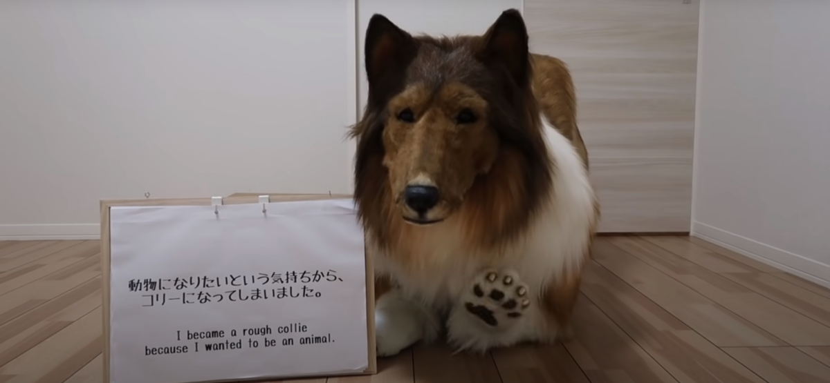 Să vezi și să nu crezi! Un japonez a cheltuit o avere ca să se transforme într-un câine