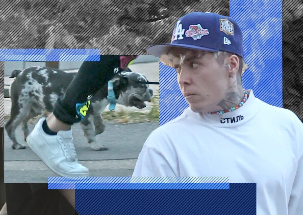 Imagine Stire Lino Golden și-a ”strunit” patrupedul prin parc, dar… I-a pus frână cățelușul! | 2review.ro